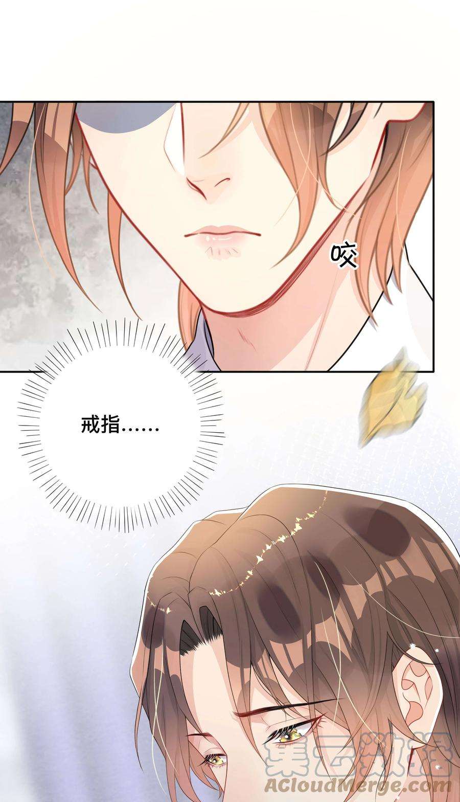 窥光016 一如初见
