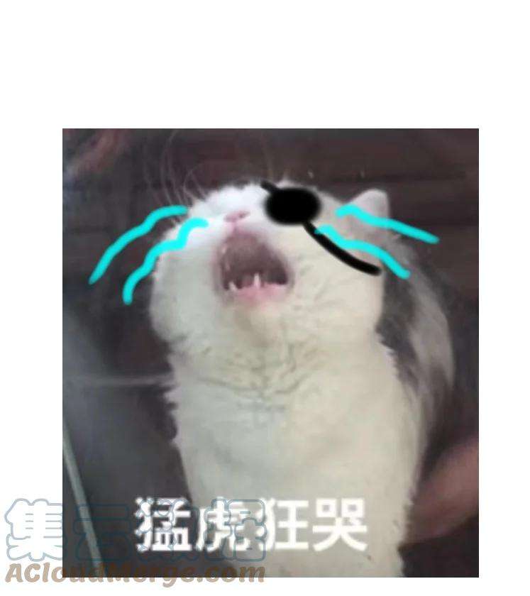 窥光请假条 身体抱恙QAQ