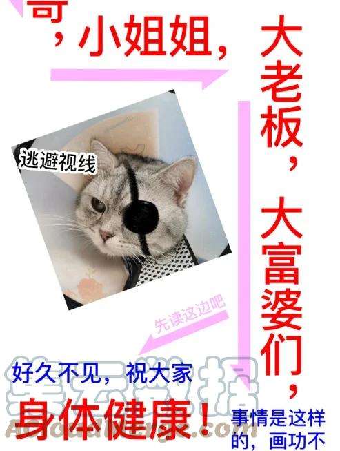 窥光请假条 请假条
