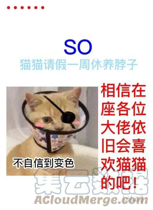 窥光请假条 请假条