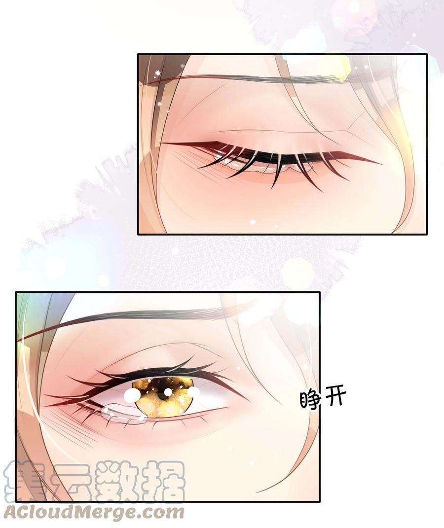 窥光036 美人泪