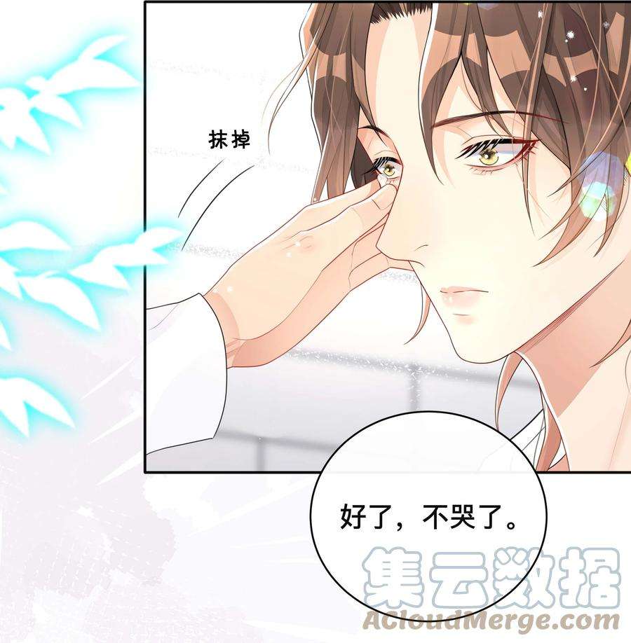 窥光036 美人泪