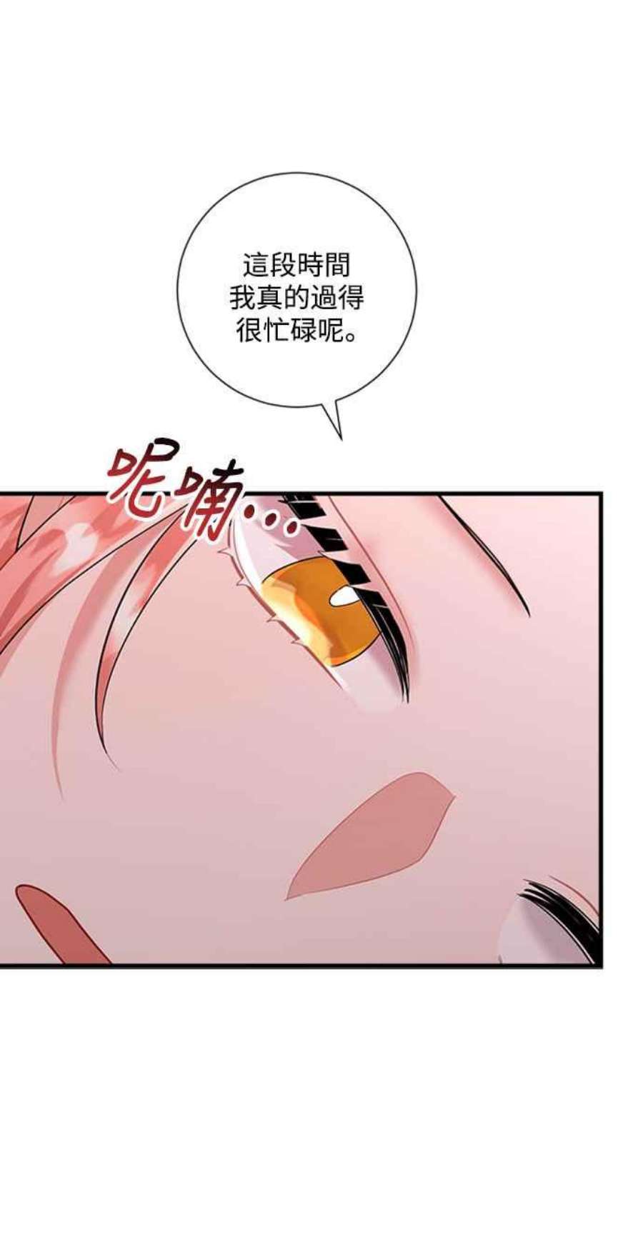 再次见面的前夫48话