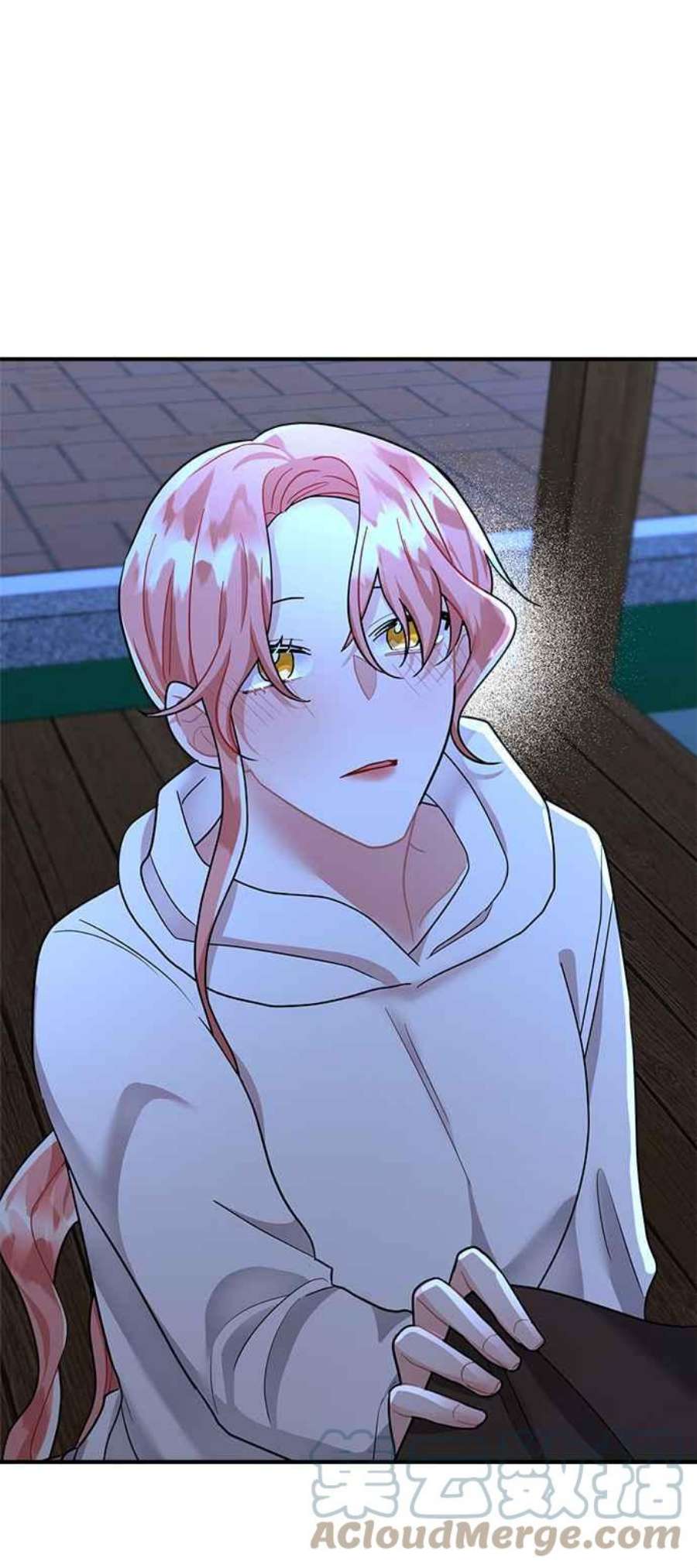 再次见面的前夫50话