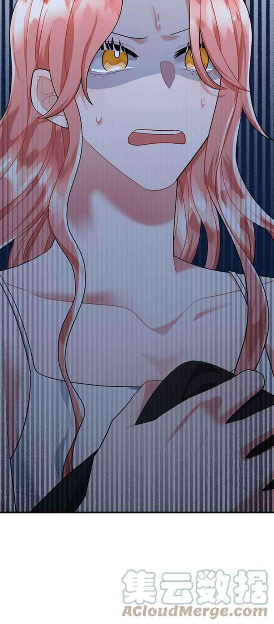 再次见面的前夫51话