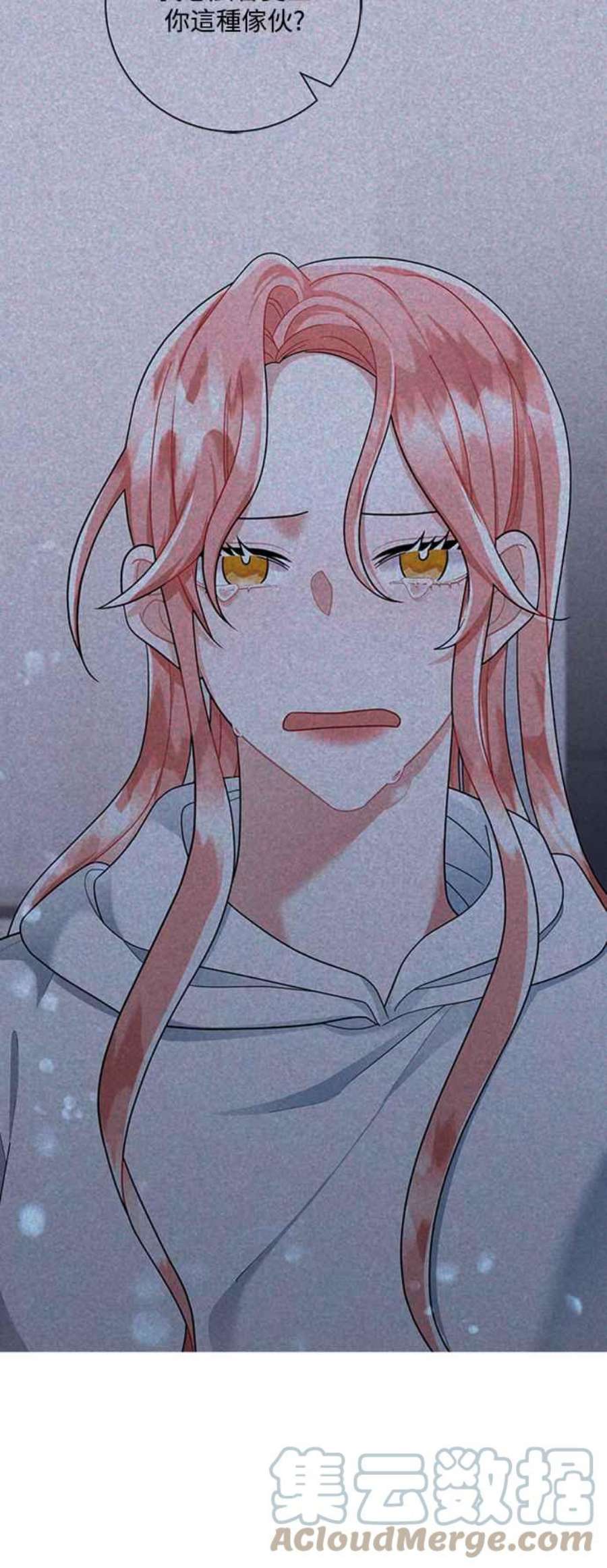 再次见面的前夫51话