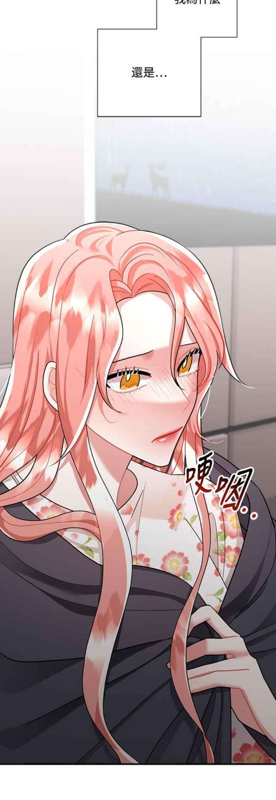 再次见面的前夫53话