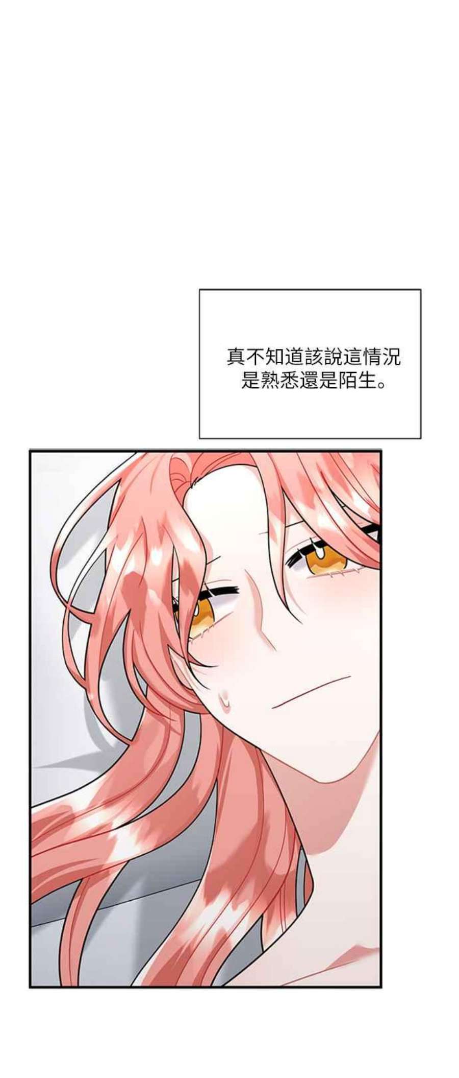 再次见面的前夫54话