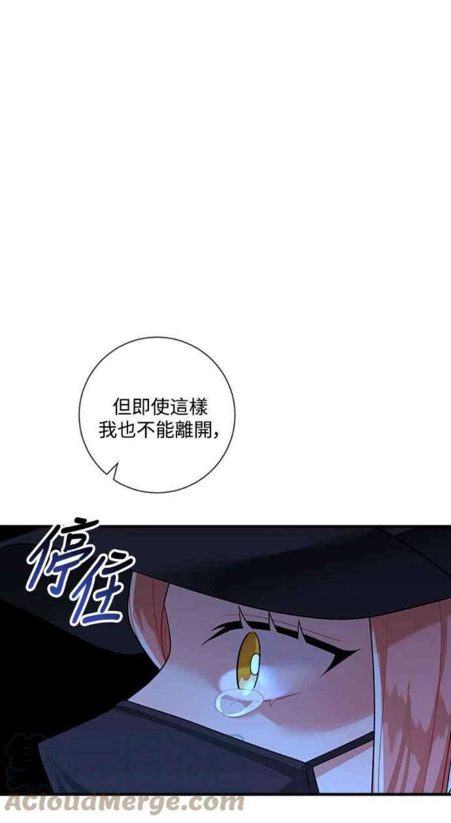 再次见面的前夫60话