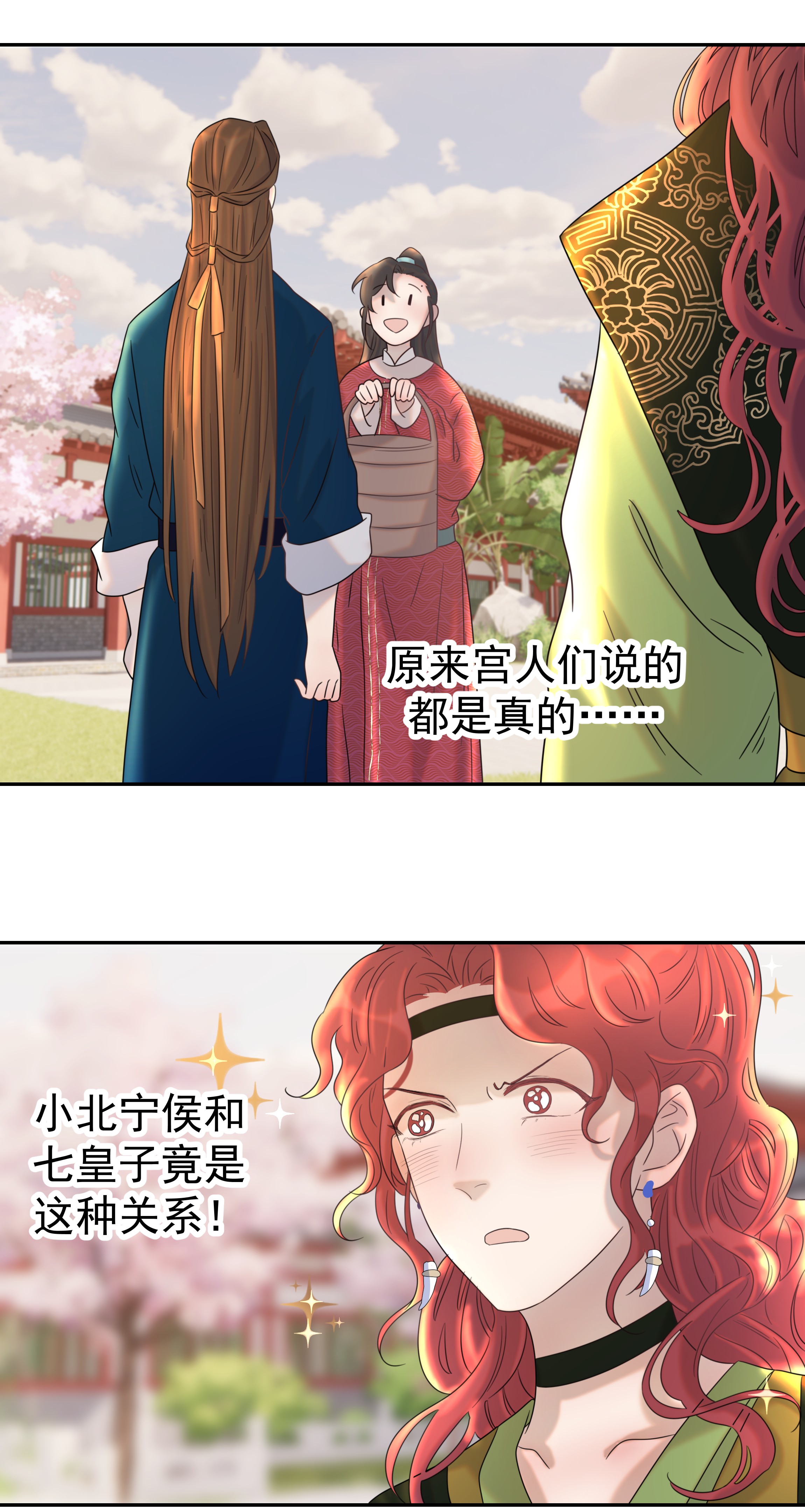 好像拿错了女主剧本023 岚国皇子