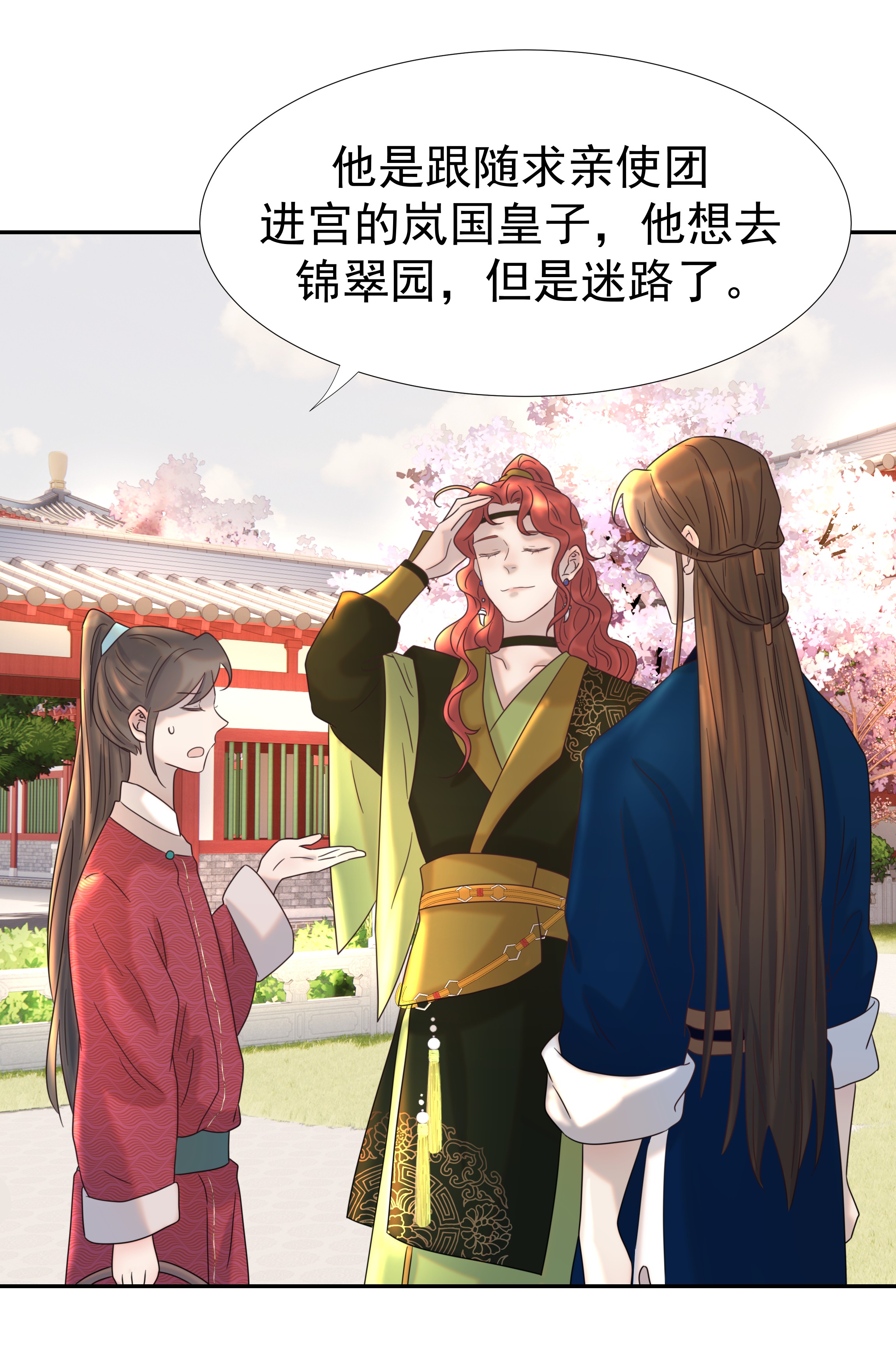 好像拿错了女主剧本023 岚国皇子