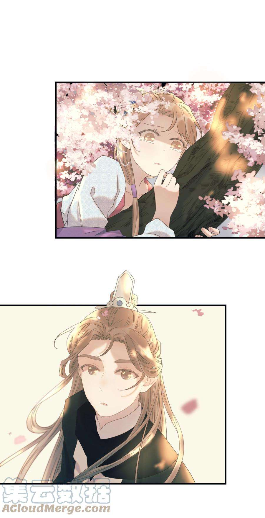 好像拿错了女主剧本048 他们的过去