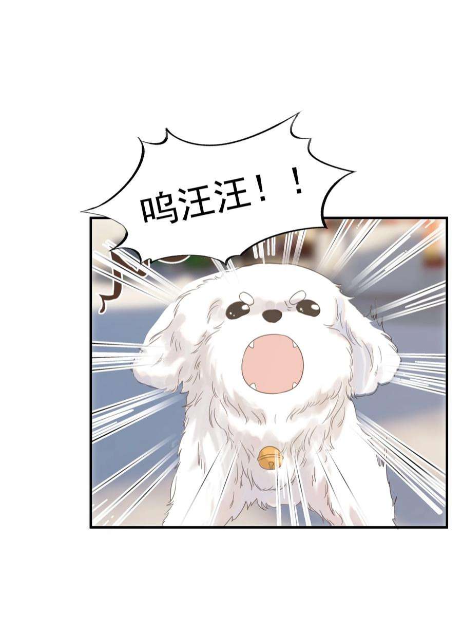 好像拿错了女主剧本065 还要帮宿主谈恋爱？