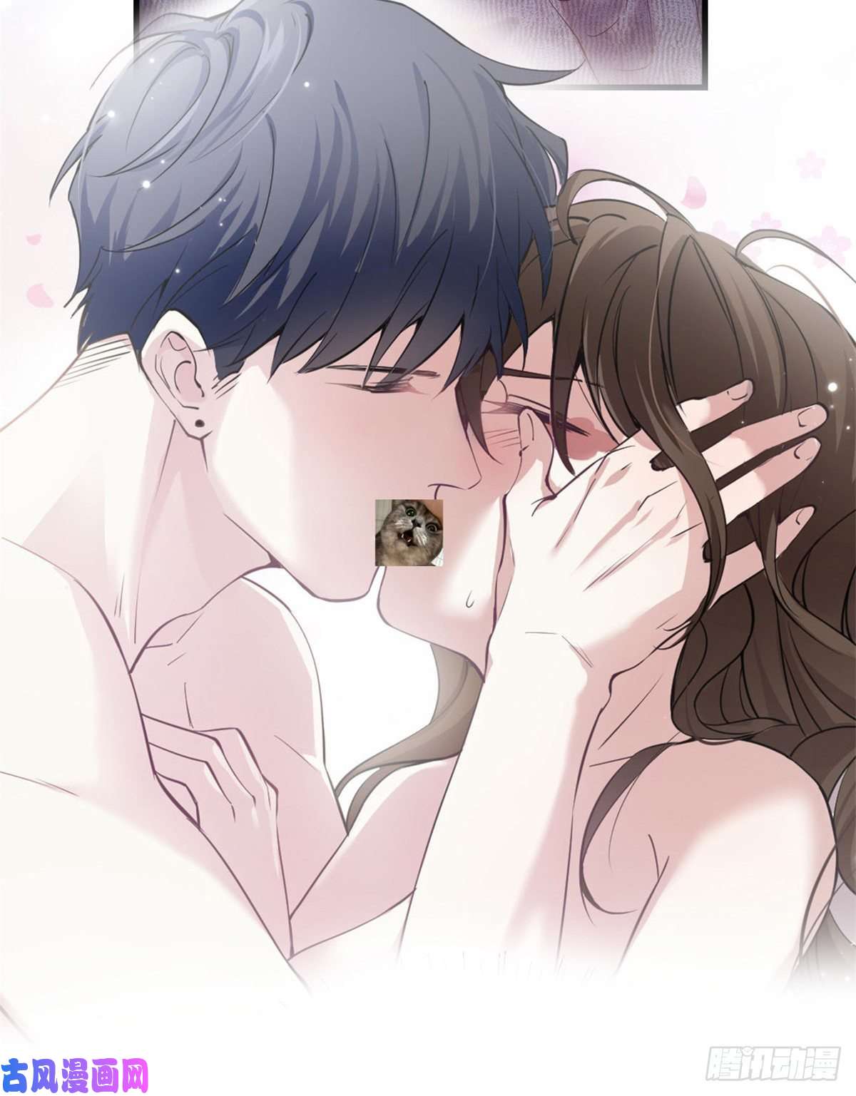 南城待月归预告