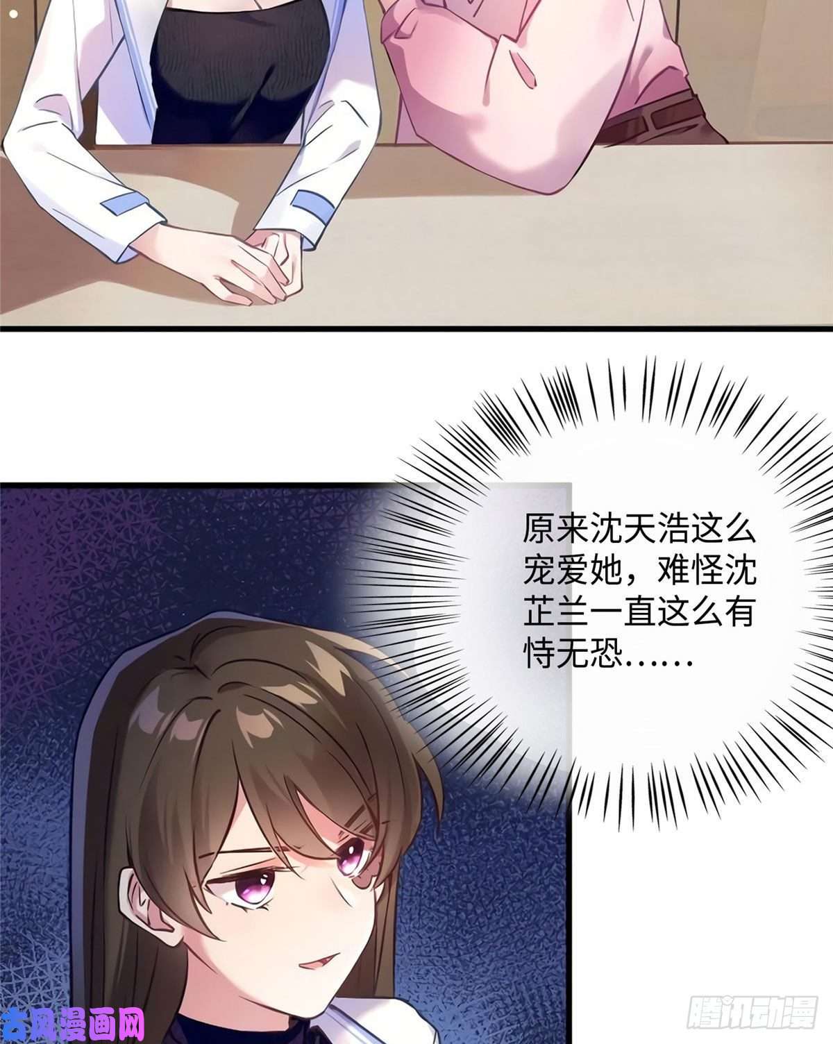 南城待月归17 谁是私生女？