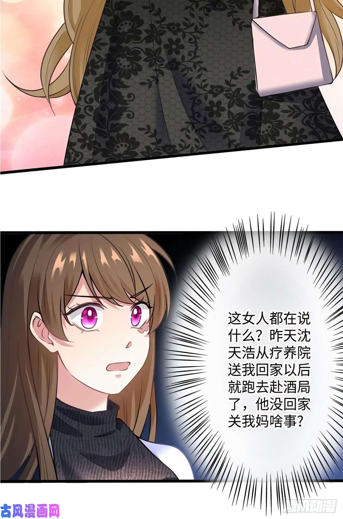 南城待月归17 谁是私生女？