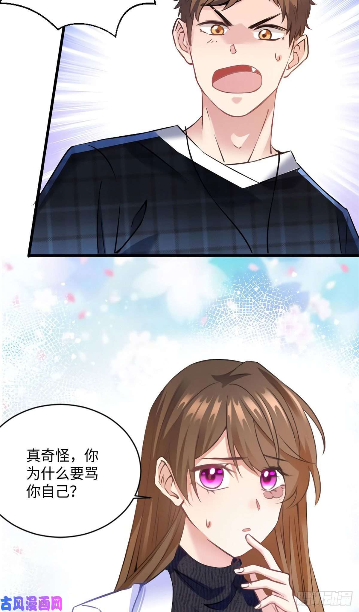 南城待月归17 谁是私生女？