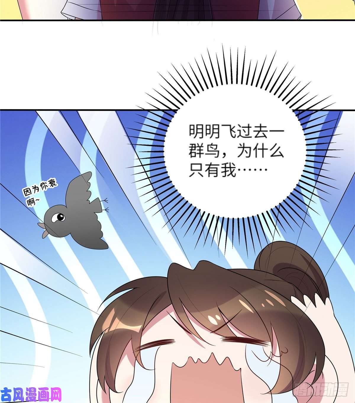 南城待月归34 真的请来了乌龟？