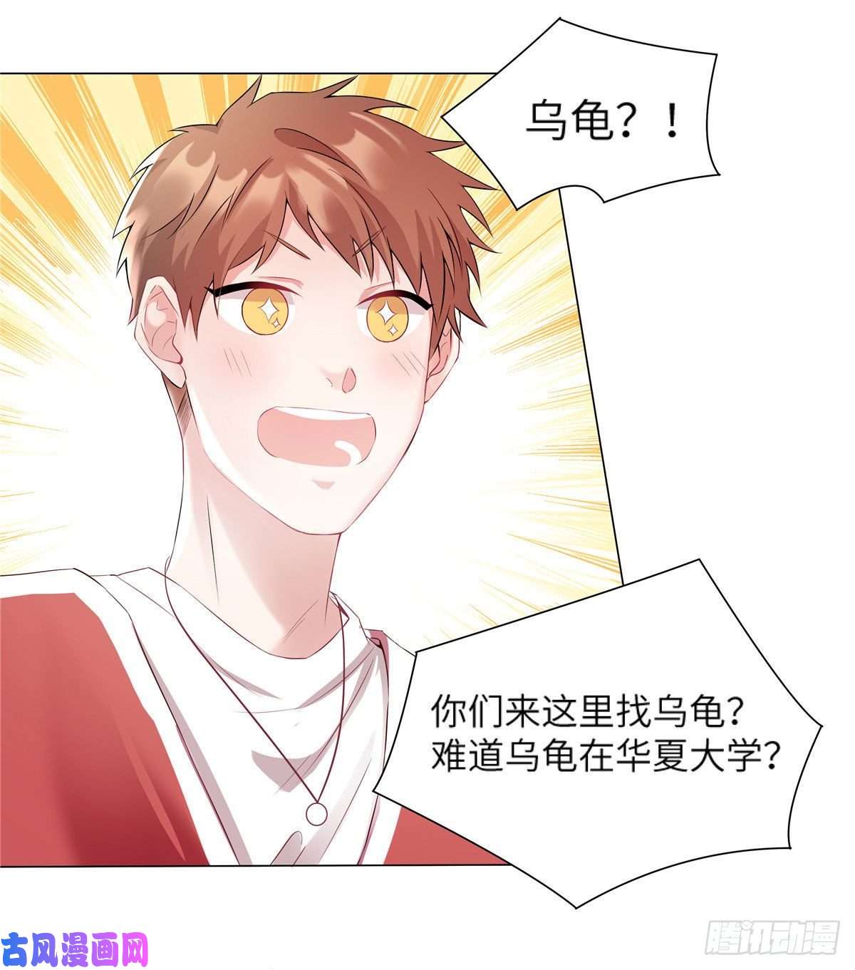 南城待月归34 真的请来了乌龟？