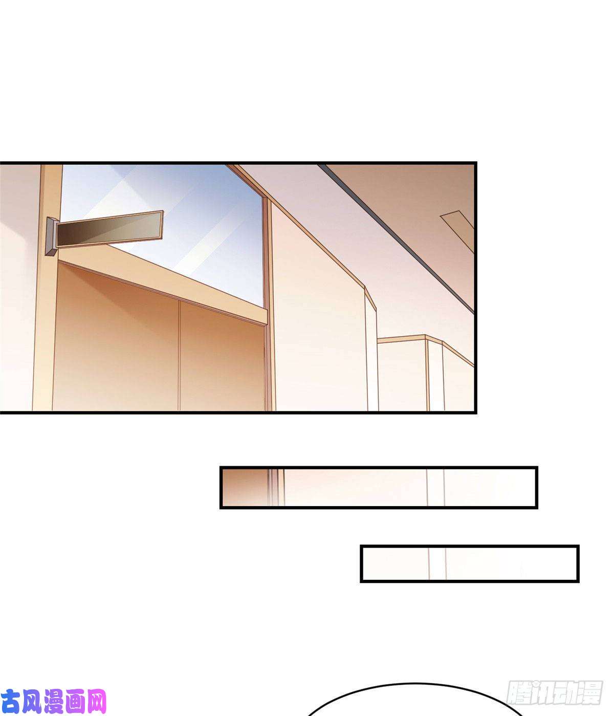 南城待月归42 乌龟登场！