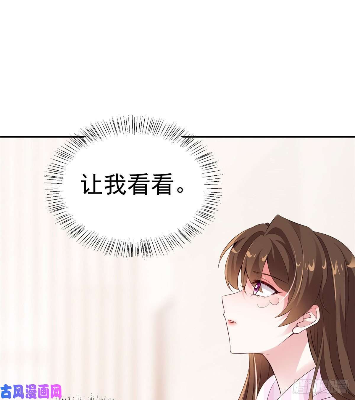 南城待月归42 乌龟登场！