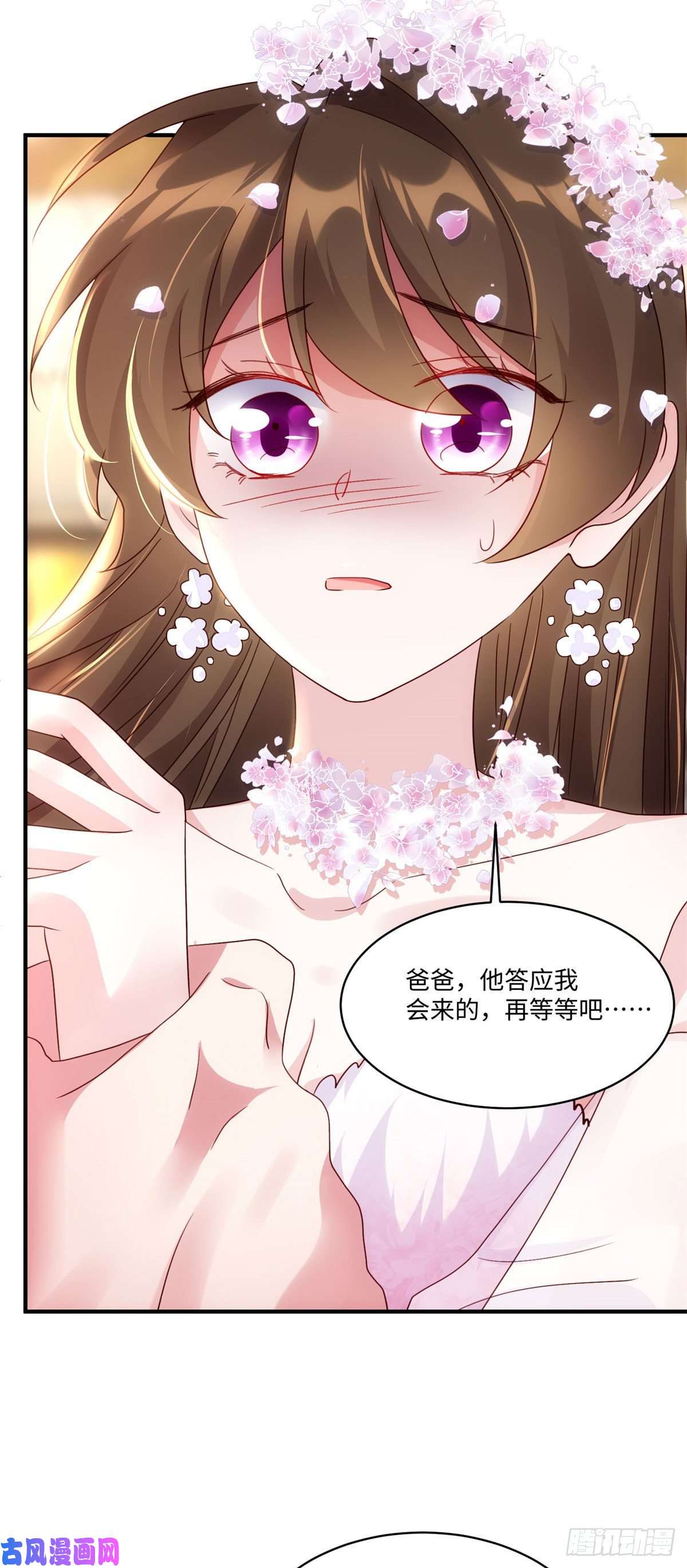 南城待月归50 费南城，你明明说过会来的