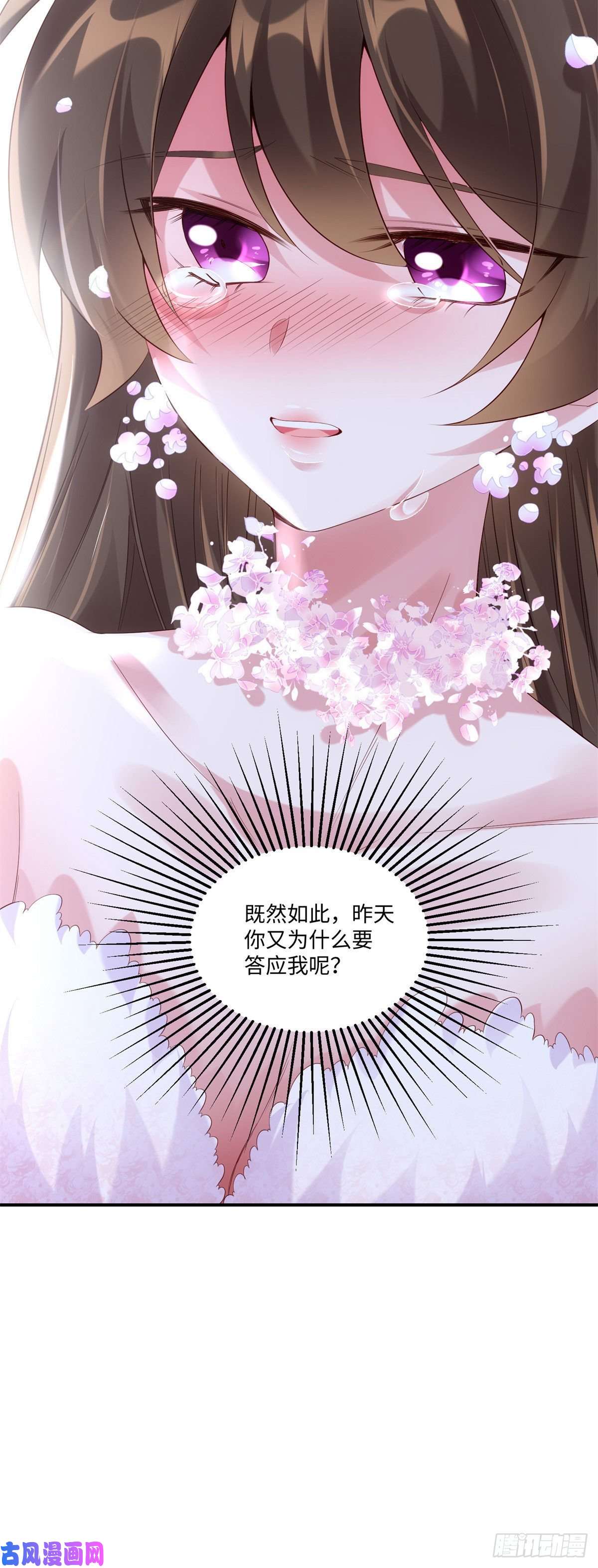 南城待月归50 费南城，你明明说过会来的