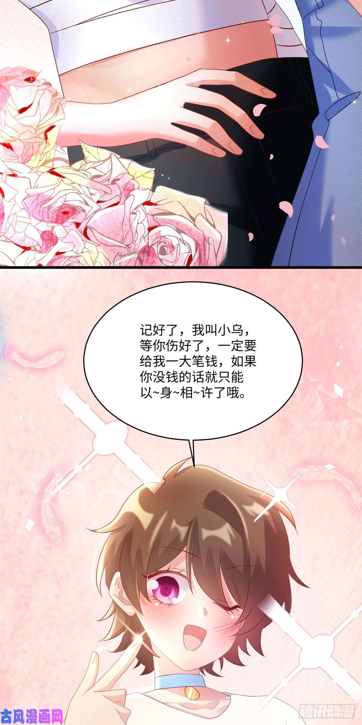 南城待月归52 我的小乌，再也不在了