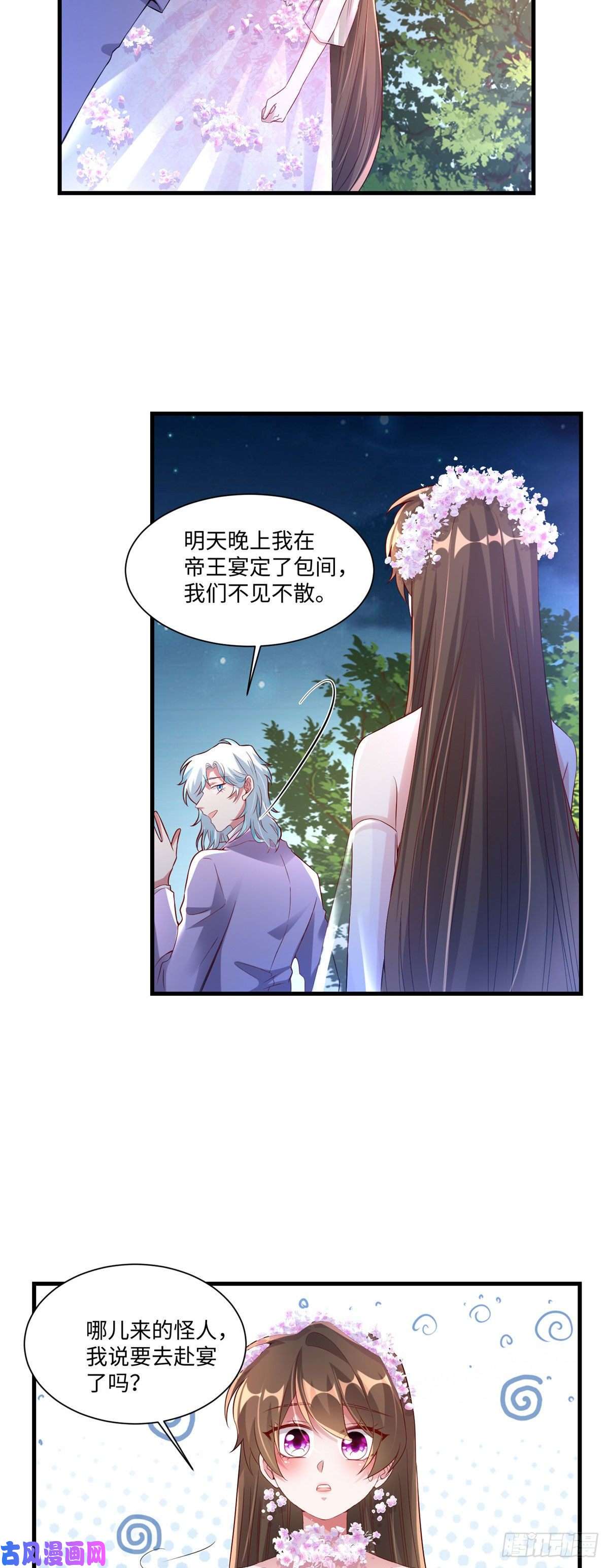 南城待月归52 我的小乌，再也不在了
