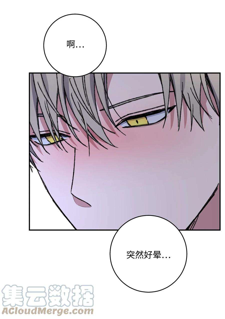 爱情魔咒41 误会