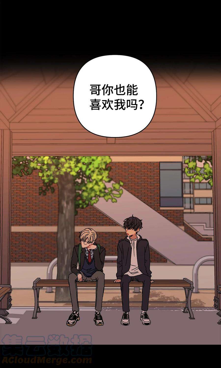 爱情魔咒16 你这个疯子