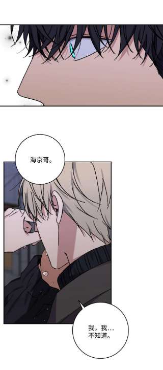 爱情魔咒48 哥的人生我都会负责