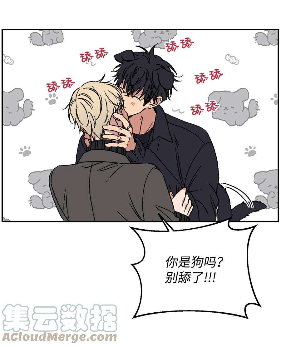 爱情魔咒49 你是狗吗？