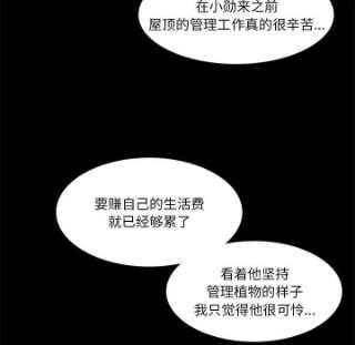 他们的校园生活11