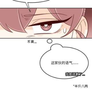 他们的校园生活11