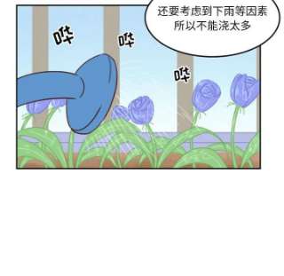 他们的校园生活12