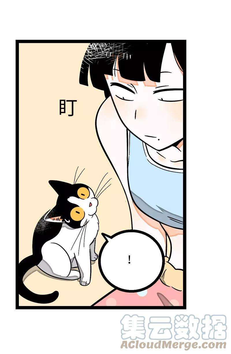 周一至周末5话 珍贵的礼物