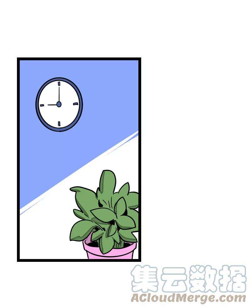 周一至周末5话 珍贵的礼物