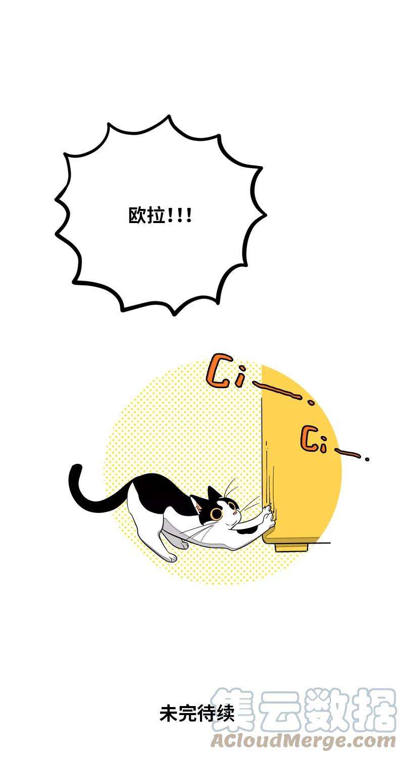 周一至周末10话 叫我的名字就好