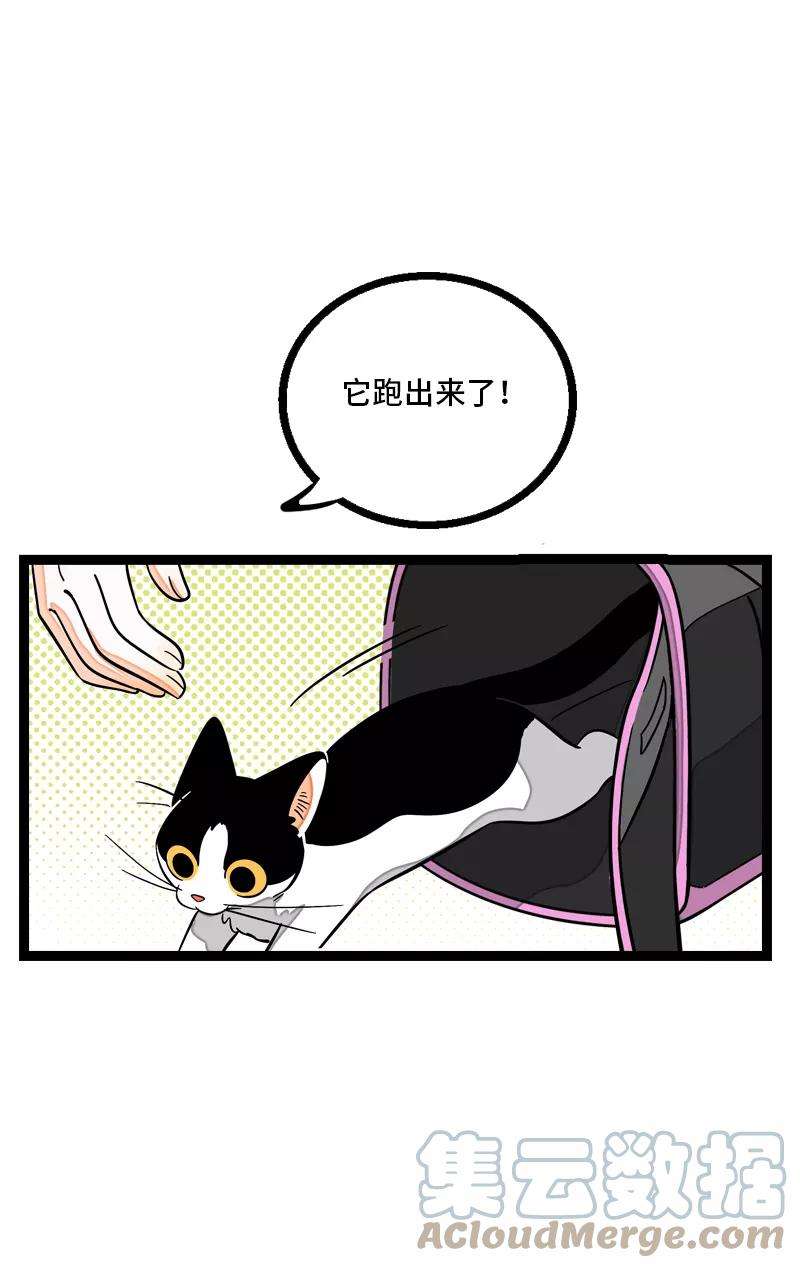 周一至周末10话 叫我的名字就好