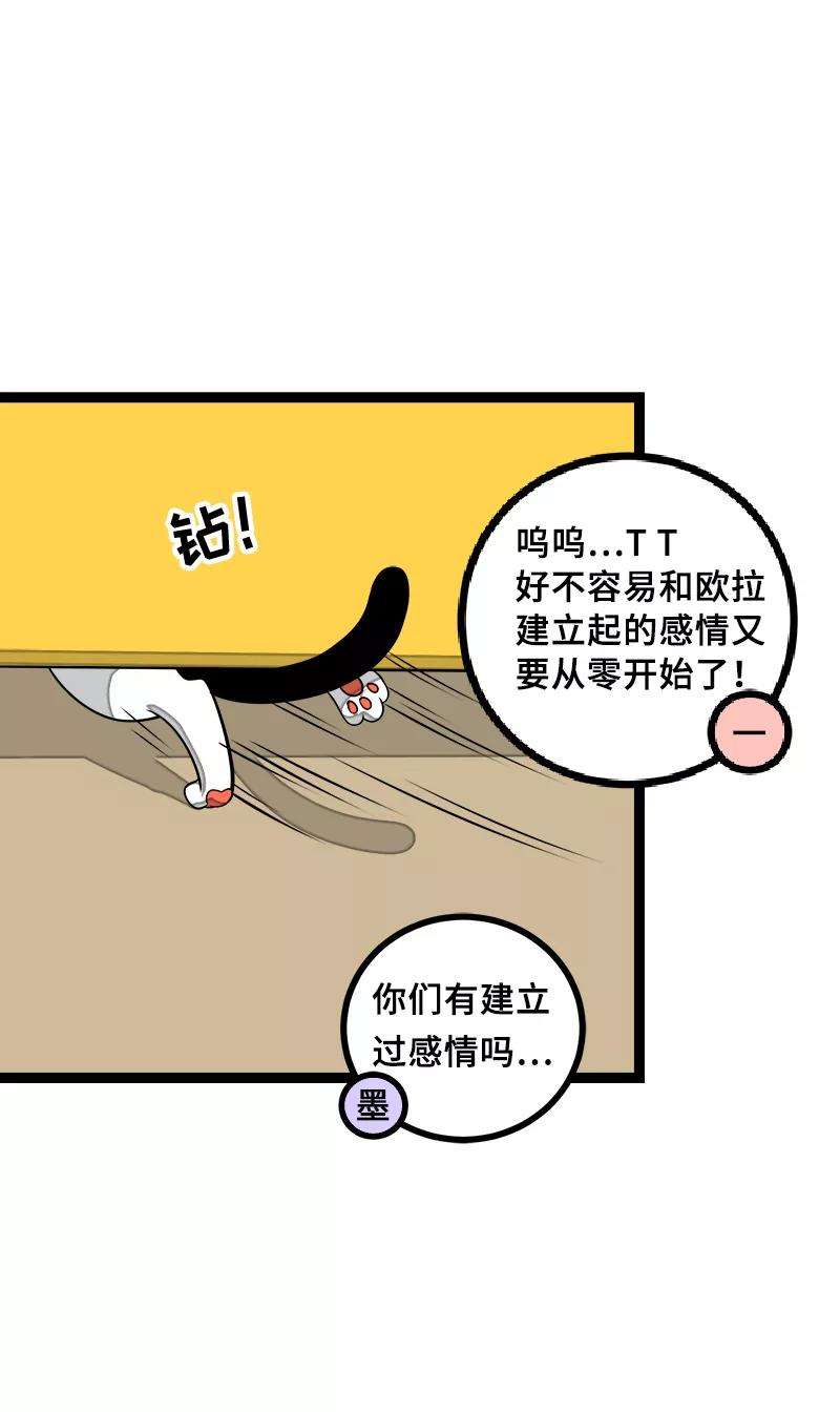 周一至周末44话 感情白痴