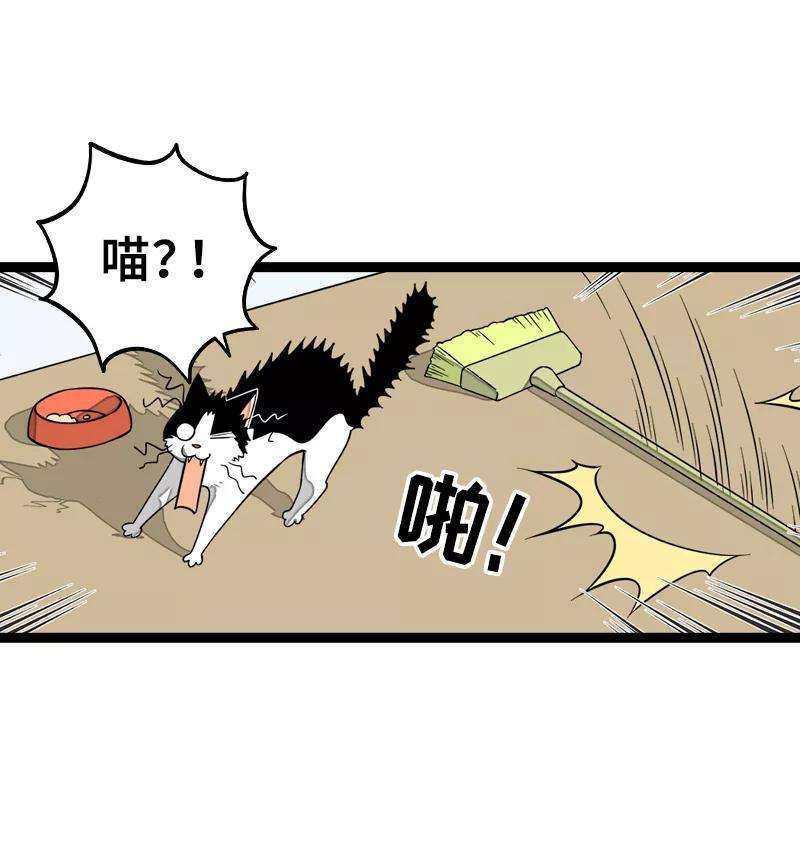 周一至周末47话 一窗之隔