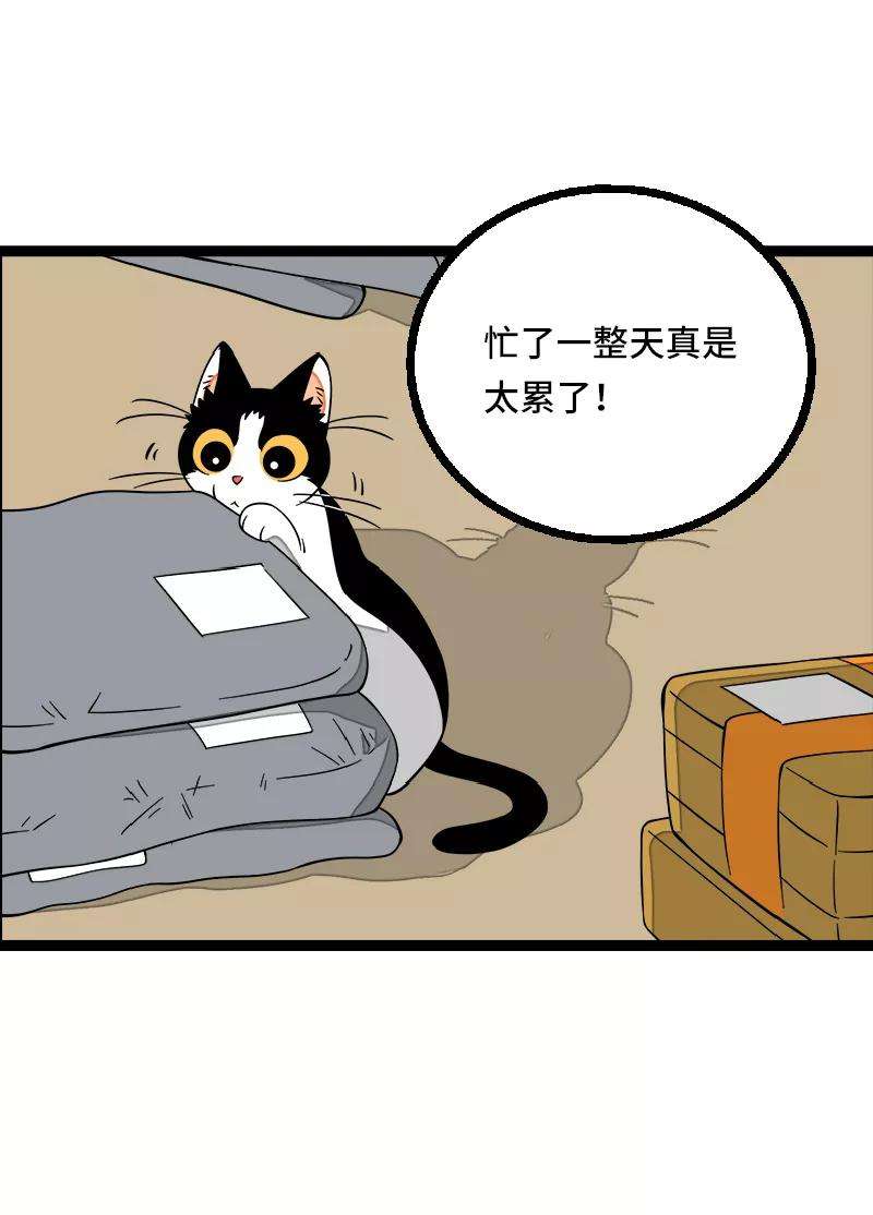 周一至周末50话 网络暴力（上）