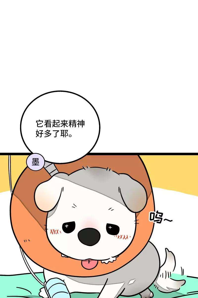 周一至周末70话 幸运的小狗