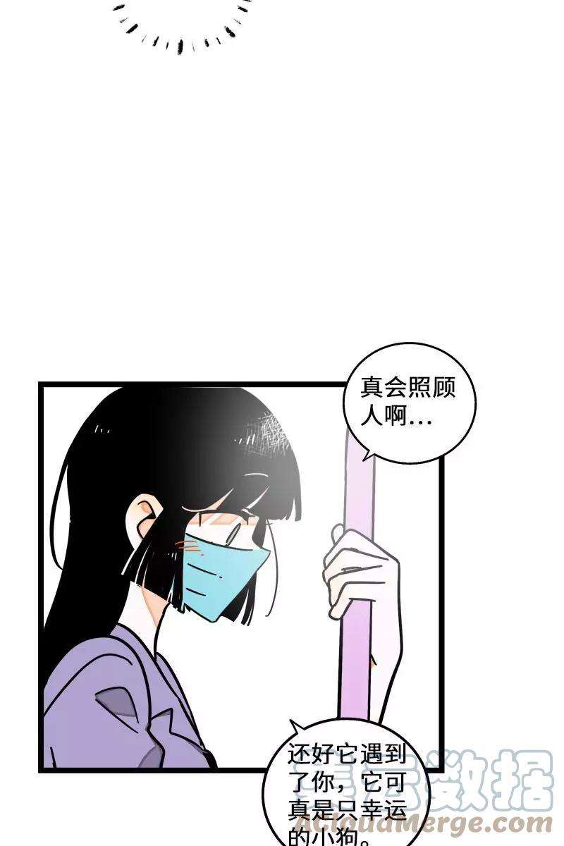周一至周末70话 幸运的小狗
