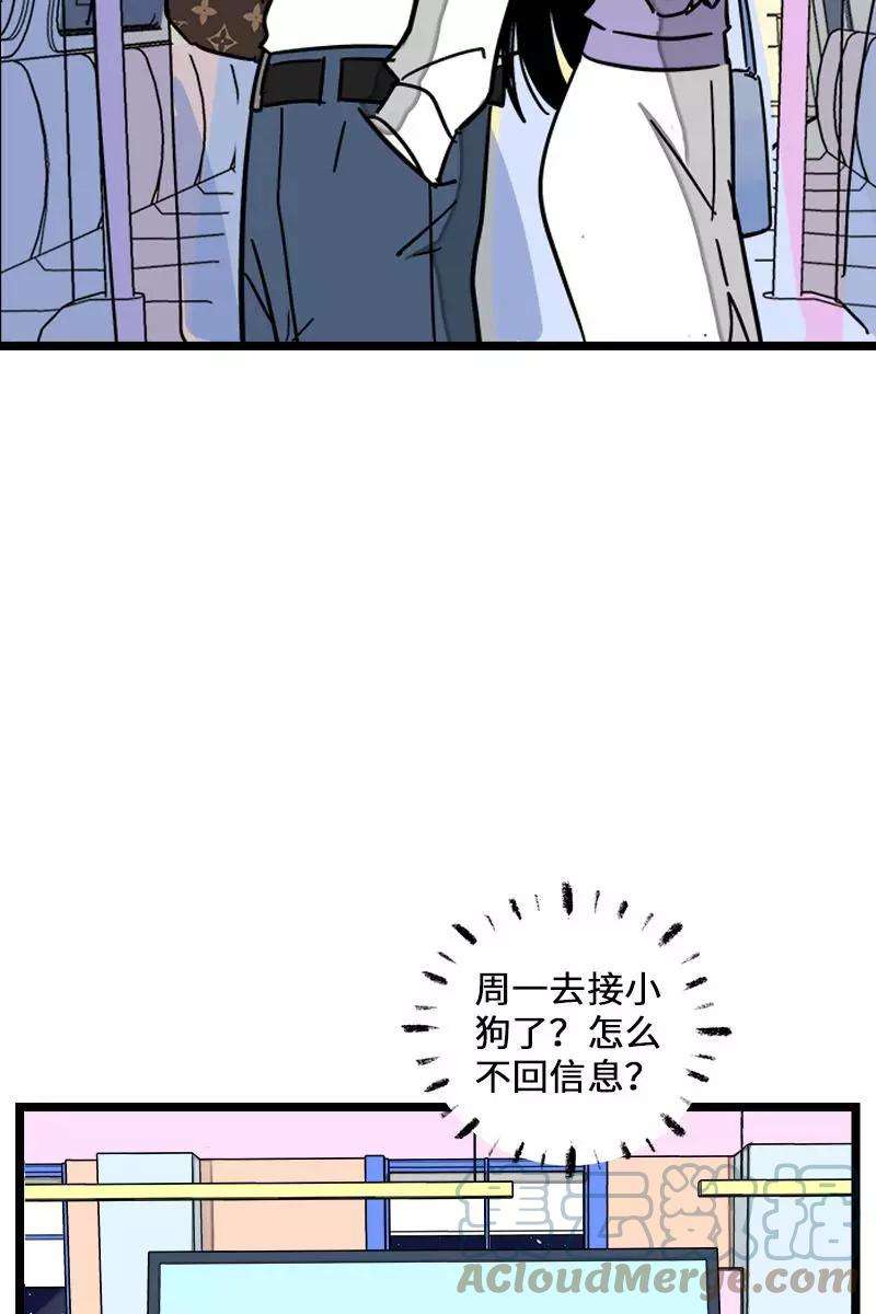 周一至周末70话 幸运的小狗