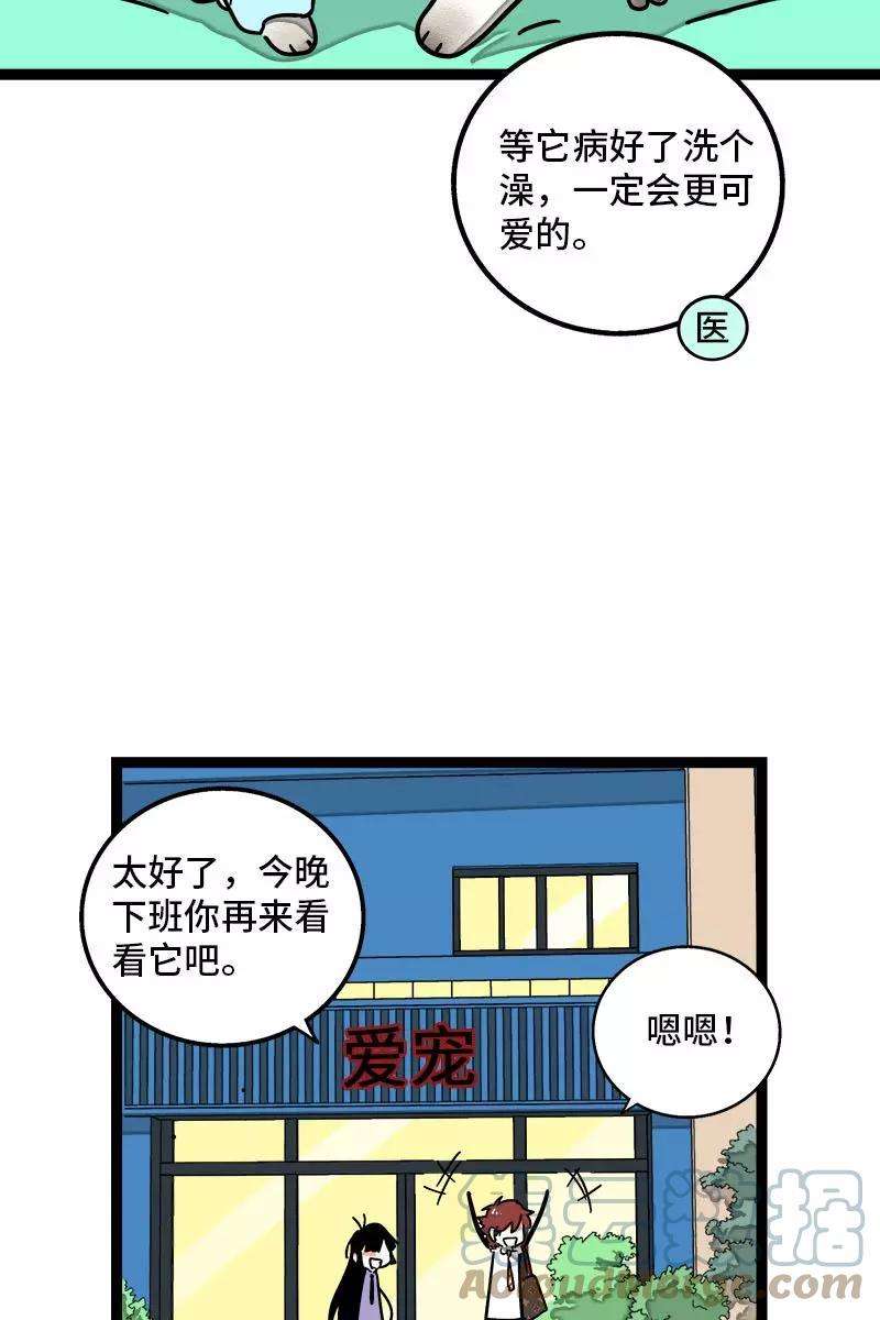 周一至周末70话 幸运的小狗