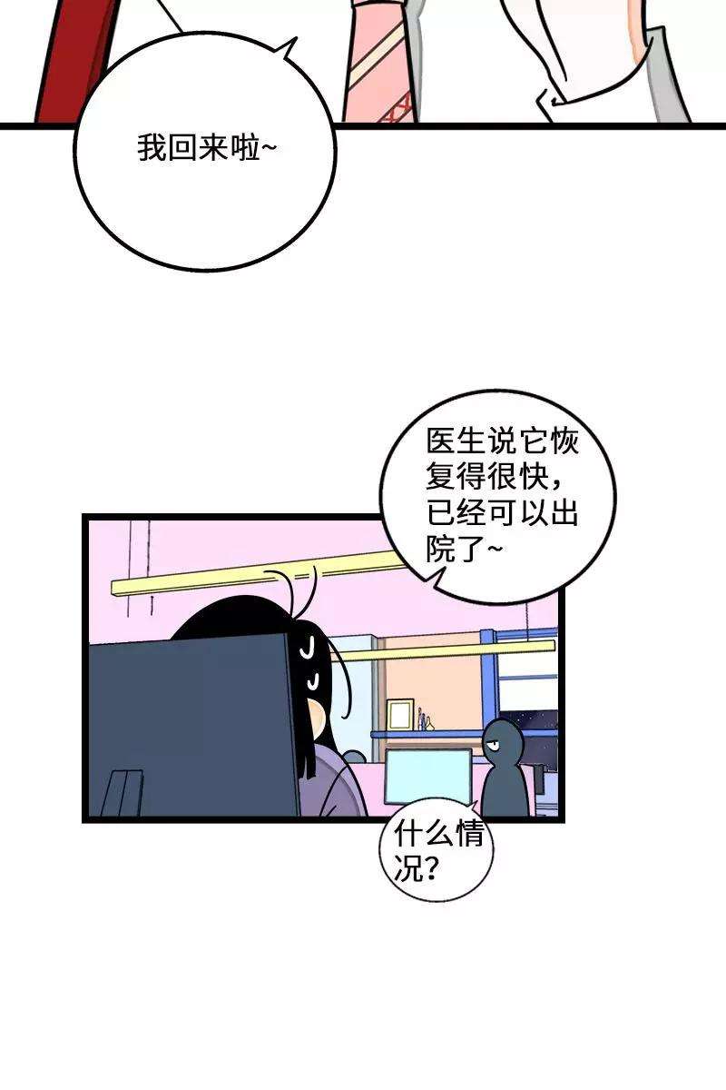周一至周末70话 幸运的小狗