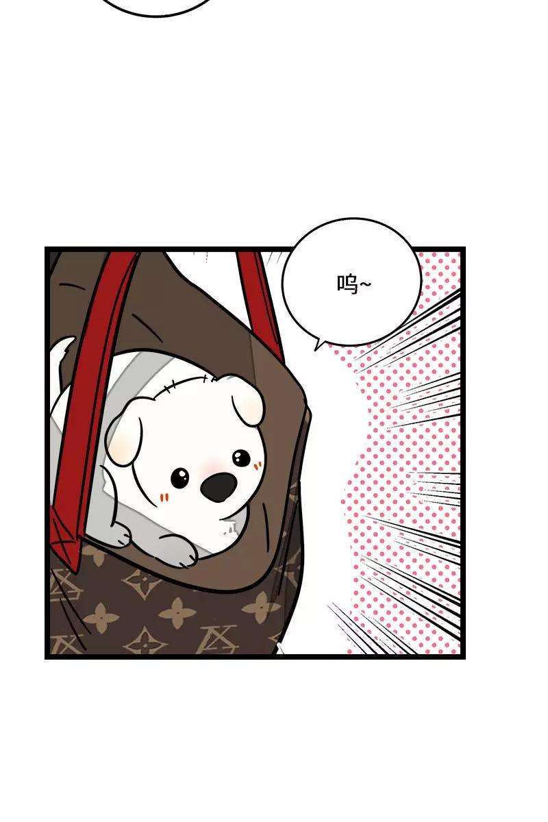 周一至周末70话 幸运的小狗