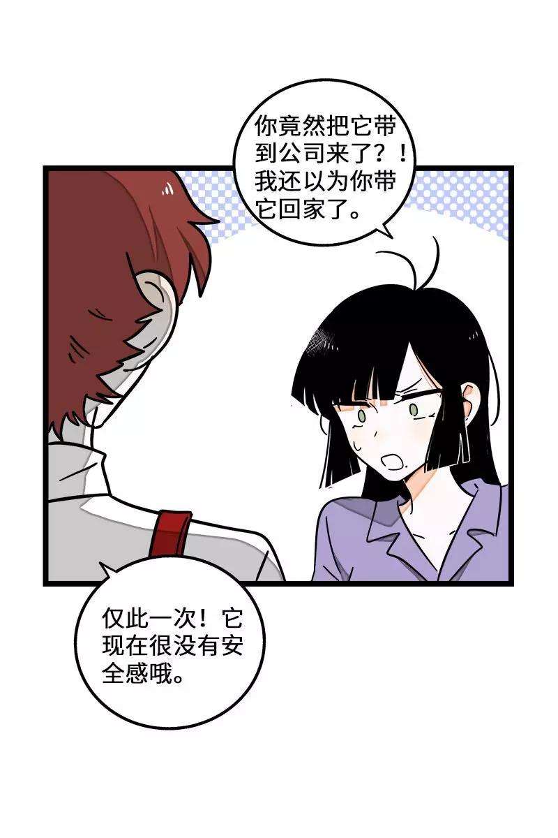 周一至周末70话 幸运的小狗